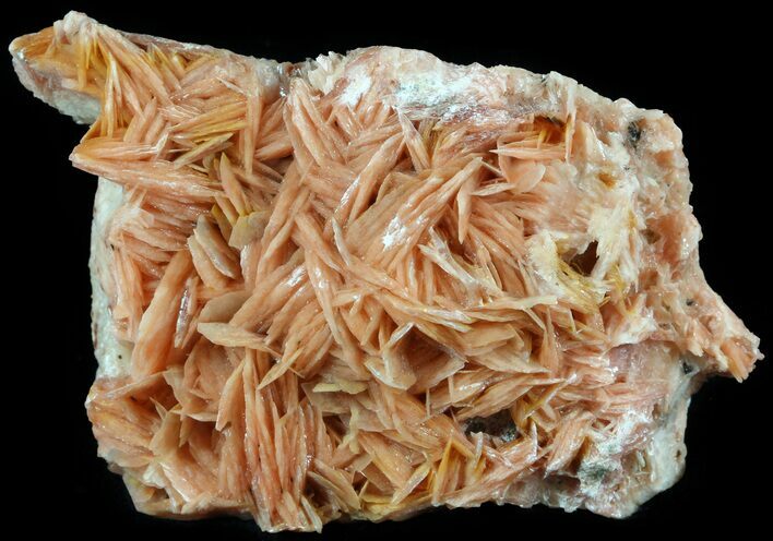 Orange/Pink Bladed Barite - Morocco #51462